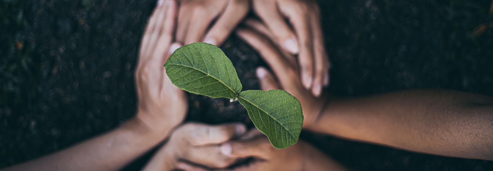 Hôtel des Mines - Our Values - Partners